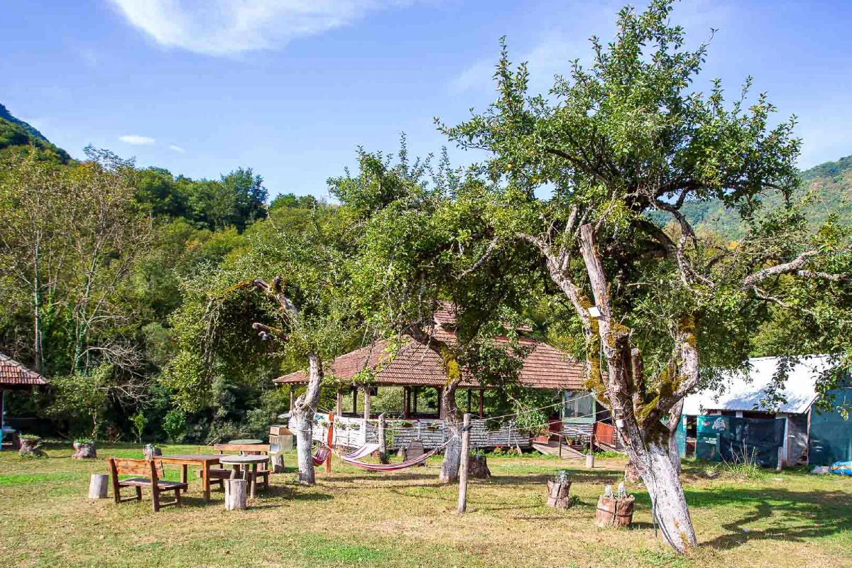 Rafting kamp Kanjon Tara - ambijent kampa i priroda 4